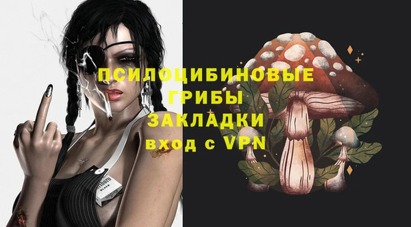 а пвп мука Горняк