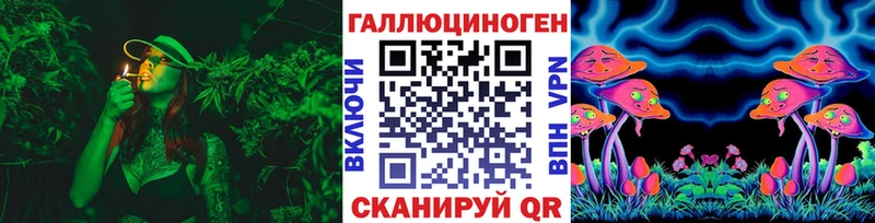 где купить наркотик  Новочебоксарск  Галлюциногенные грибы MAGIC MUSHROOMS 